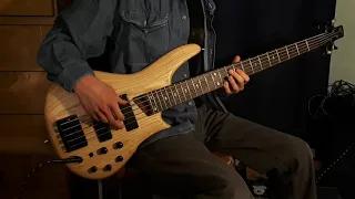 Bobby Caldwell - What You Won't Do for Love - Bass Cover (Tabs and Isolated Bass in Description)