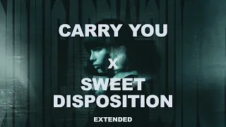 MARTIN GARRIX - CARRY YOU x SWEET DISPOSITION UMF MASHUP (EXTENDED)