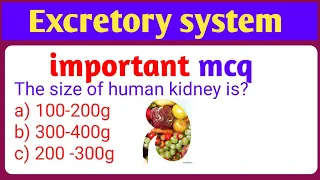 mcqs on human kidney | human kidney mcqs questions and answers | human excretory system|Gk biology