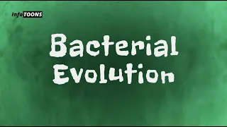 Bacterial Evolution