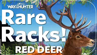 WAY OF THE HUNTER - way of the hunter gameplay RARE RED DEER RACKS