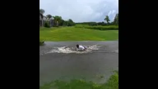 Golf slip and slide