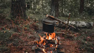 ВКУСНЫЙ ГРИБНОЙ СЫРНЫЙ  СУП . Лесная кухня. Вылазка в лес. Бушкрафт  Осень 2021 г