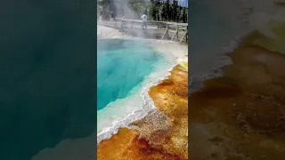 Happy National Park Week! (footage of Yellowstone)