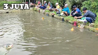 Gilaa Kolam Ini Di Luar Duga'an‼️Ternyata Ikannya Banyak Dan Babon Babon