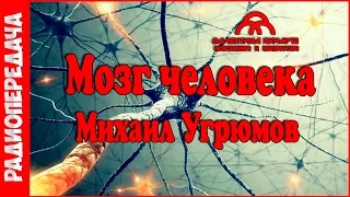 Михаил Угрюмов - функционирование мозга человека  #радиопередача