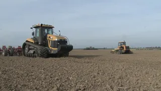 Caterpillar Challenger 65 + AGCO Challenger MT875E V12 working side by side