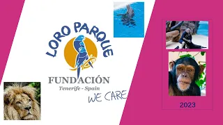 TENERIFE LORO PARQUE,  CANARY 2023,