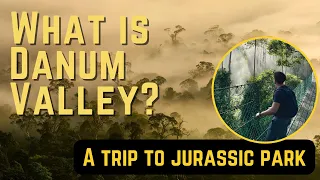 What is Danum Valley ?