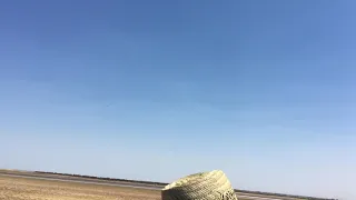 Avalon Airshow 2019 Fighter Jets Take off