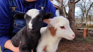 Babies experiencing theyre first sunshine