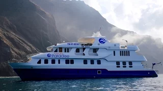 GALAPAGOS ISLANDS LUXURY YACHT!!! Day 1 | Dragon Hill