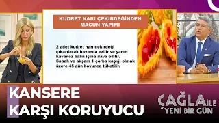 Kudret Narının Saymakla Bitmeyen Faydaları - Çağla İle Yeni Bir Gün 646. Bölüm