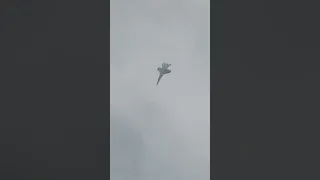 Swiss Air Force F18C Hornet display, RAF Cosford 2019