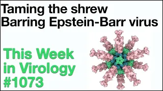 TWiV 1073: Taming the shrew and barring Epstein-Barr virus