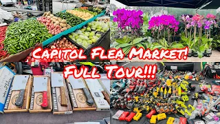 WEST WIND CAPITOL FLEA MARKET TOUR IN SAN JOSE CALIFORNIA!