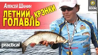 Летний ГОЛАВЛЬ на КРЭНКИ. Алексей Шанин. Anglers Practical