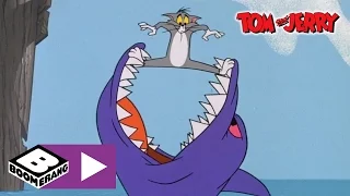 Le Requin | Tom et Jerry | Boomerang