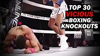 Top 30 VICIOUS Boxing Knockouts I HD