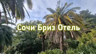 СОЧИ БРИЗ СПА-ОТЕЛЬ 3*  Отличный отель в центре