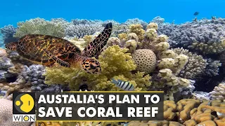 Australian government pledges $703 million to save the Great Barrier Reef| Scott Morrison| WION News