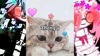 Tổng hợp tik tok 12 tháng Sinh // Theo Bạn bạn thik tháng mấy nhất? // By ; Dâu 🍓 //