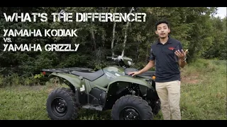 What's The Difference Between The Yamaha Grizzly And Yamaha Kodiak?