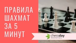 Основные правила шахмат за 5 минут! Видео для начинающих.