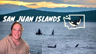 The BEST place to go WHALE 🐳 WATCHING in the USA | San Juan Islands Washington