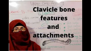 Clavicle bone anatomy | clavicle side determination | attachments | bony landmarks | upper limb