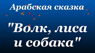 Слушать онлайн. Арабская сказка "Волк, лиса и собака"