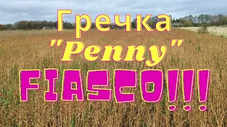 Гречка "Penny" FIASCO!!!