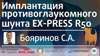 Имплантация противоглаукомного шунта Ex-PRESS R50