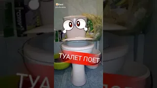 Туалет у вас тоже поёт