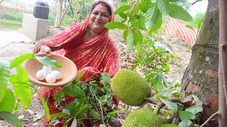 ডিম দিয়ে এইভাবে এঁচোড় বানালে মাংসের স্বাদ কেও হার মানাবে | Echor Recipe In Bengali