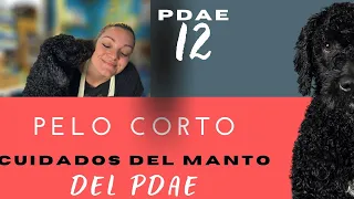 PDAE 12 CUIDADOS Y LAVADO  DEL MANTO PELO CORTO