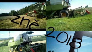 Fortschritt E524 Žně 2018 pšenice