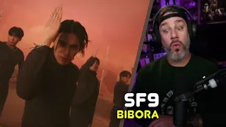 Director Reacts - SF9 - 'BIBORA' MV