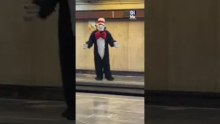 Usuario capta al ‘Gato del Sombrero’  en el Metro de la CdMx