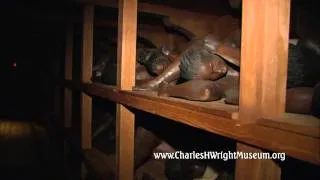 Video Overview of the Charles H. Wright Museum of African American History