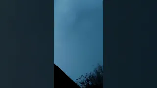 Lightning hits bird ⚡🕊️