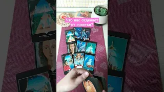 Что вас отделяет от счастья?🌟💥 #tarotcards #tarotreading #oracle