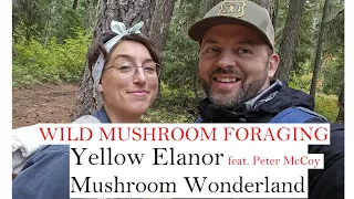 Yellow Elanor visits Mushroom Wonderland : feat  Peter McCoy