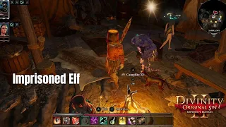 The Imprisoned Elf - Divinity Original Sins 2