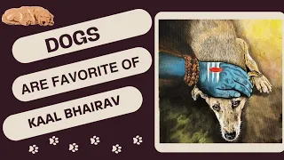 kaal Bhairav Upasana 🙏😊 | Dogs 🐶 @mindfullask