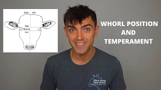 WHORLS AND CATTLE TEMPERAMENT | TECHNICAL #23