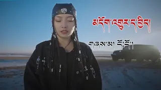 New Tibetan song 2023 ࿉ བོད་གཞས་གསར་པ་༢༠༢༣༼མདོག་འགྱུར་ད་བྱིད།༽གཞས་མ། དོ་དོ་། ࿉ Dodo 2023