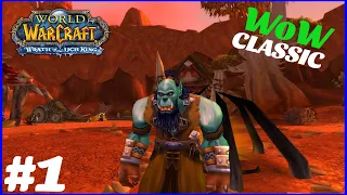 A Noob Plays WoW Classic For The First Time! EP 1