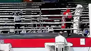 Muaythai Avrupa Kupası 2017