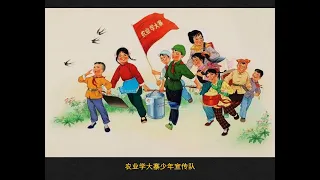 农业学大寨